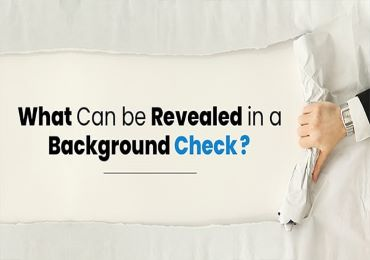 What Can Be Revealed in a Background Check? Find Out Now
